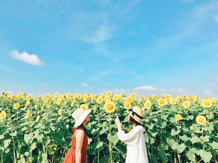 變身誘人的性感女性!日本網站教你如何釋放出更多的女性自身魅力費洛蒙2