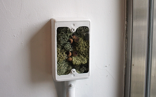 堅持不使用蛋與乳製品，甜點美味、令人心暖的雜貨咖啡廳＠西荻窪 trim