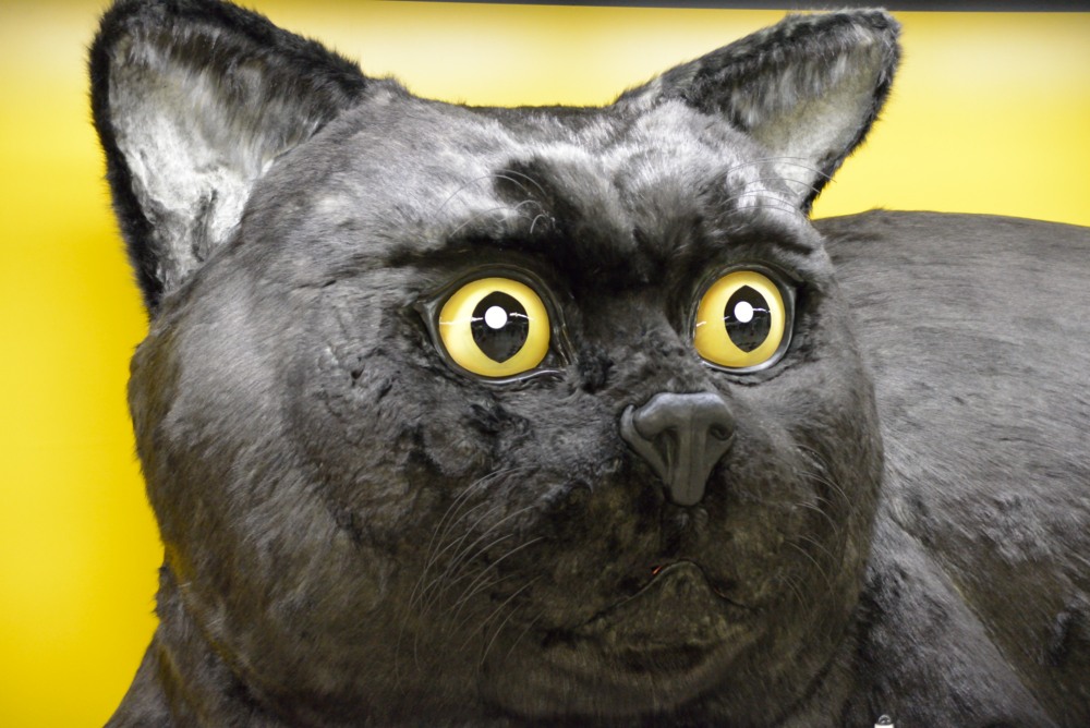 新宿車站出現了寫實到有點可怕的「巨大黑貓」　一臉正經還吐著舌頭，根本就是隻妖怪貓