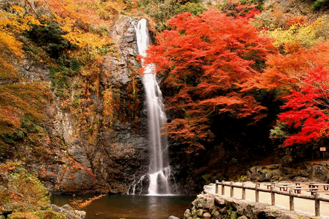 日本最有特色的5大赏枫景点出列 Japaholic Cn