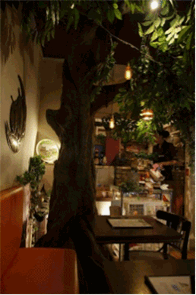 貓頭鷹咖啡館