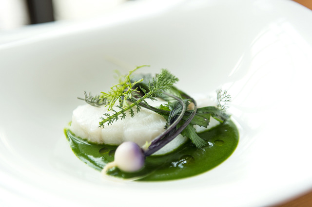 為了要傳達奈良的魅力,作為資訊傳播據點,「時之森」盛大開幕