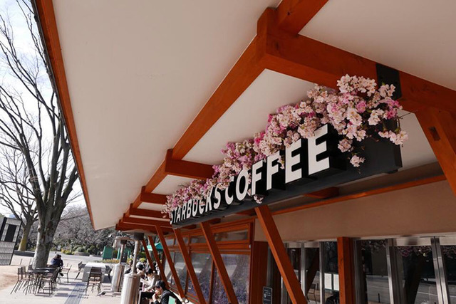 上野公園的星巴克享受賞櫻氣氛。欣賞Plantica設計的櫻花盛開。