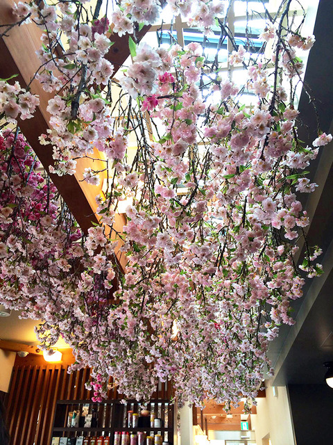 Plantica所裝飾設計的星巴克上野恩賜公園店的店内。