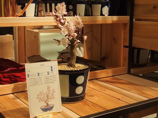 大日本城市博覽會