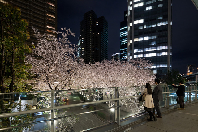 自3月下旬起至4月的中旬這段期間,也預定將從17點起到22點為止進行點燈