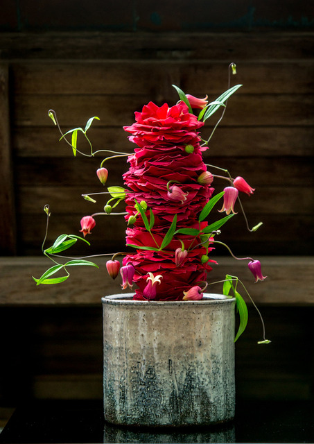 Nicolai Bergmann所帶來的展覽會「新花 -SHINKA-」於太宰府天滿宮等地舉行