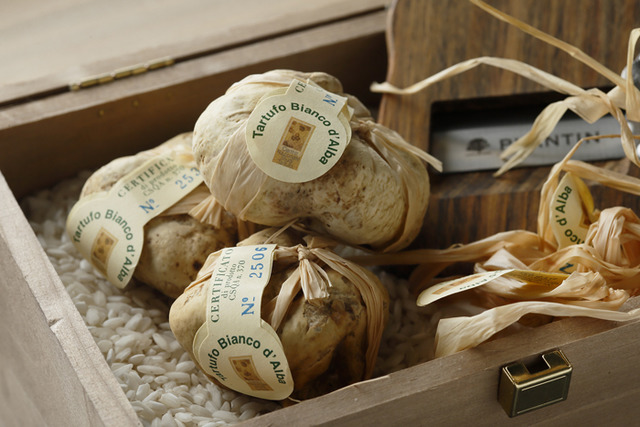 CROWN的特別全餐「La Truffe Blanche d&apos;Alba ～白松露套餐～」 （3萬5,000日圓）