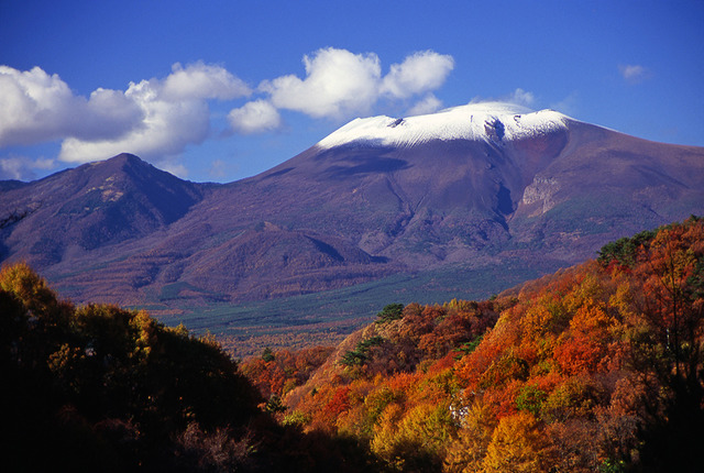 軽井沢ブレストンコート秋の風景