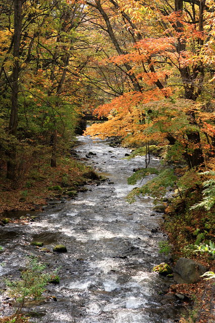 軽井沢ブレストンコート秋の風景