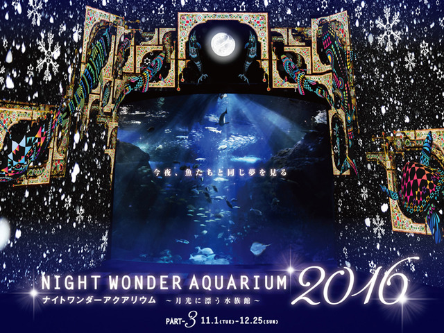 在位於藤澤市的新江之島水族館，將成為「夜間驚奇水族箱2016 ～漂浮在月光中的水族館～」的最終章之浪漫耶誕節演出開始