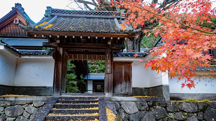 秋天還是要去京都賞楓 龜岡紅葉私房景點 Japaholic