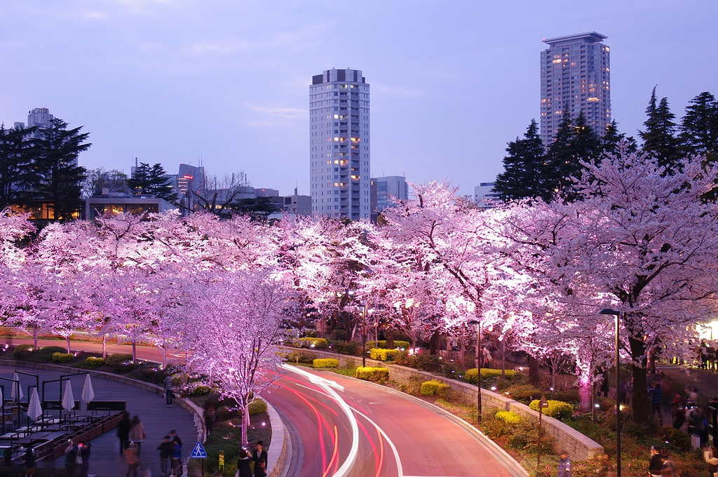 2019東京推薦賞櫻景點10 選