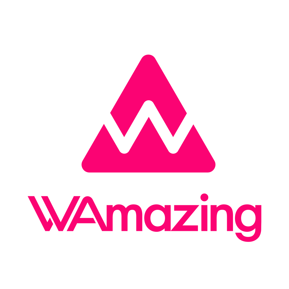 WAmazingSnow