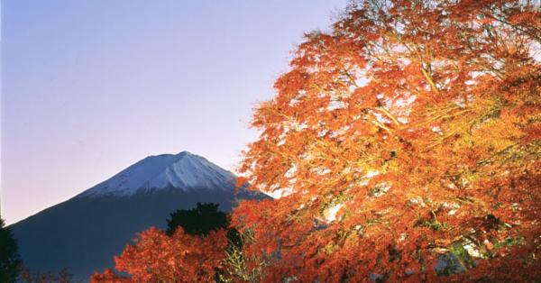 赏枫去 富士山追逐红叶之旅三选 Japaholic Cn