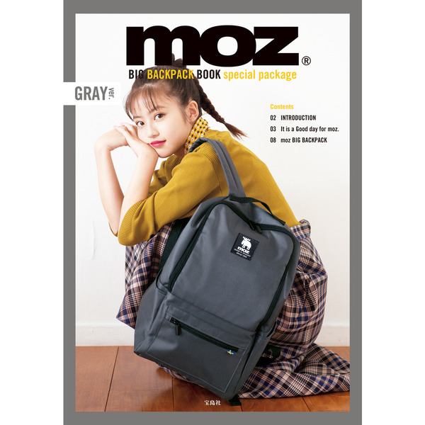 moz BIG BACKPACK BOOK special package GRAY封面