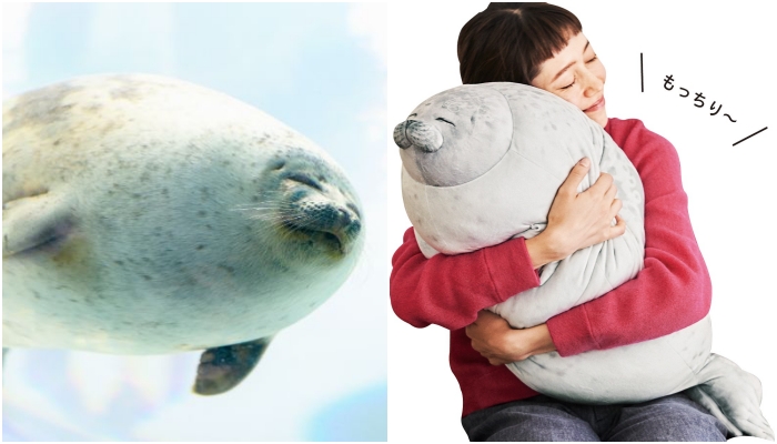 大阪海遊館海豹抱枕