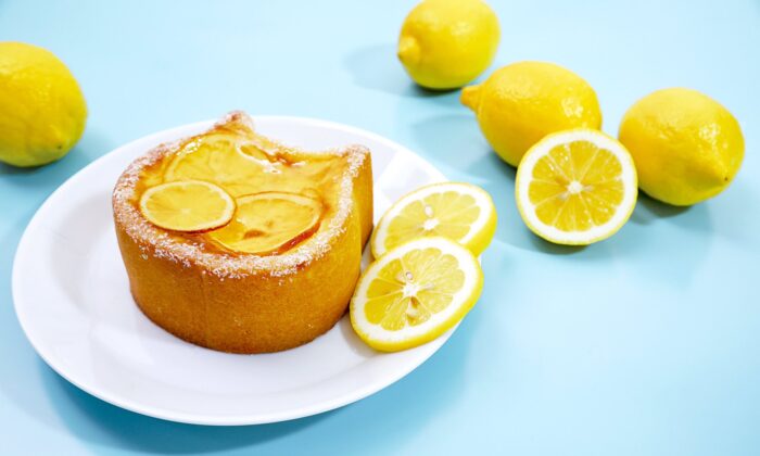 貓咪起司蛋糕～瀨戶內檸檬～