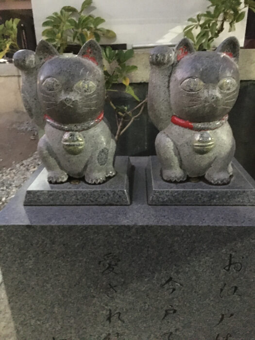 今戶神社 招財貓