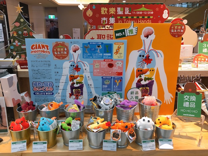 Q版人體器官娃娃