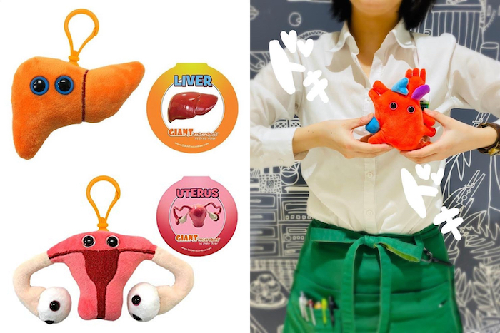 Q版人體器官吊飾娃娃