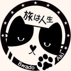 author 跌倒阿姨