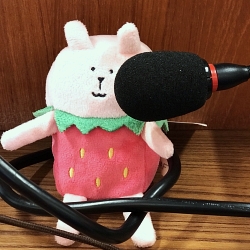 author 兔子說
