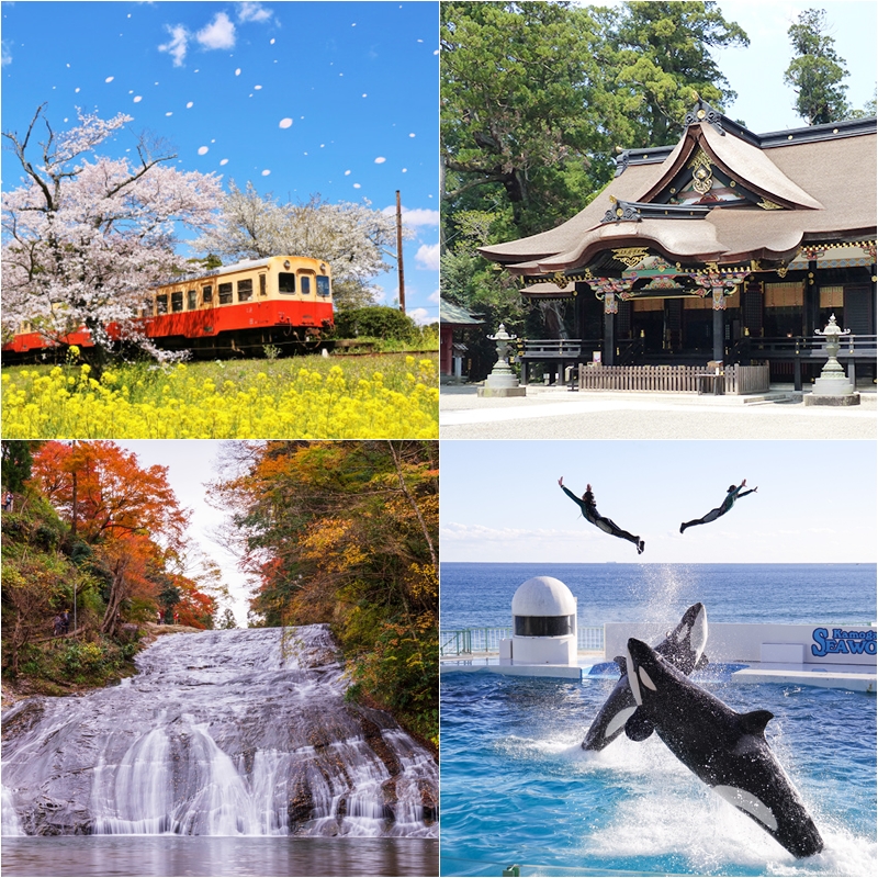 不只有迪士尼樂園，千葉必去景點10選推薦！有山有海、四季花卉，飽覽日本自然美景