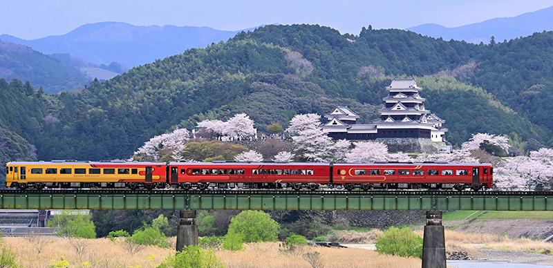 【觀光列車】開箱四國「伊予灘物語」道後篇，品味櫻花與夕陽的春季饗宴