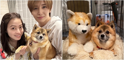 日劇《獻給國王的無名指》中的狗狗小蔥太圈粉啦！連演員們都紛紛被牠融化