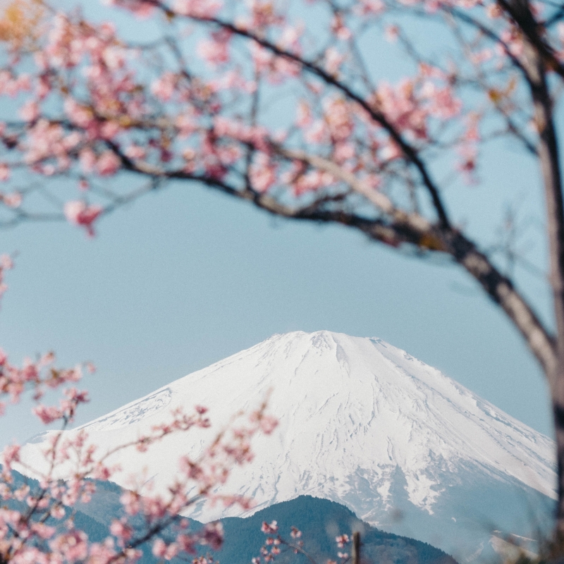 富士山旅遊優惠懶人包