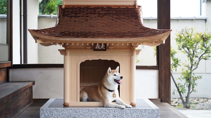 日本最尊爵不凡的狗屋「犬殿」！職人純手工精心打造一年限產一棟，高達