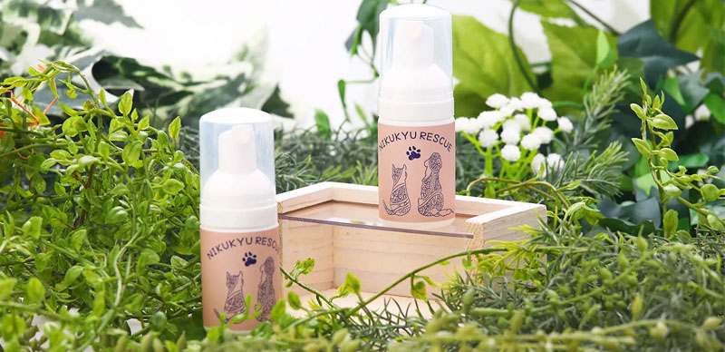 貓貓狗狗都能用的「肉球救星」，兼具保濕與清潔的毛孩日常保養好物推薦