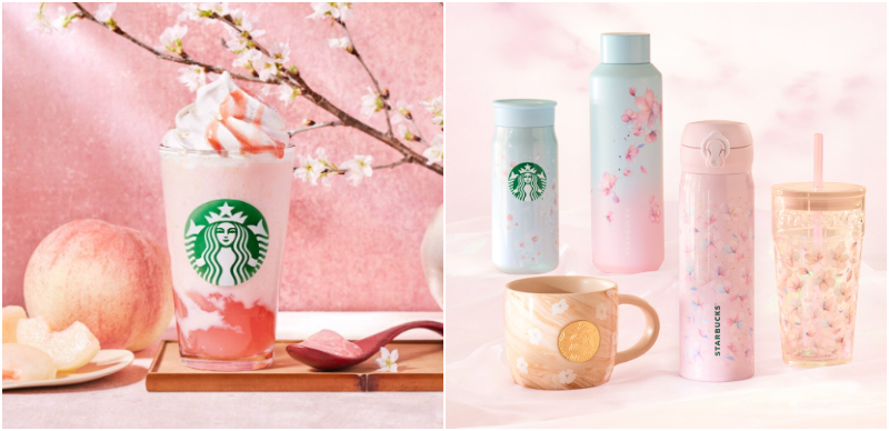 一年一度的日本櫻花季前哨戰即將開跑，星巴克第一彈櫻花季商品即將上市！