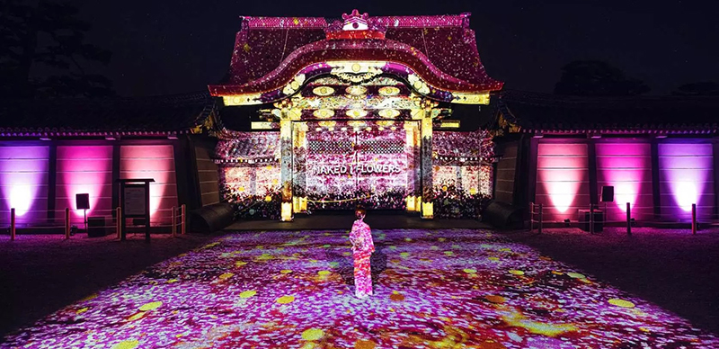 2025年日本賞櫻行程推薦！在台灣事先預約就能擁有特別又尊榮的的賞花體驗