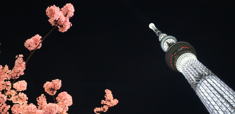 淺草居民教你這樣拍照！「東京晴空塔」最美攝影景點6選