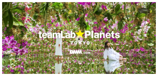 科技與藝術的完美結合！日本全國 teamLab展懶人包，你還有哪裡沒有解鎖？