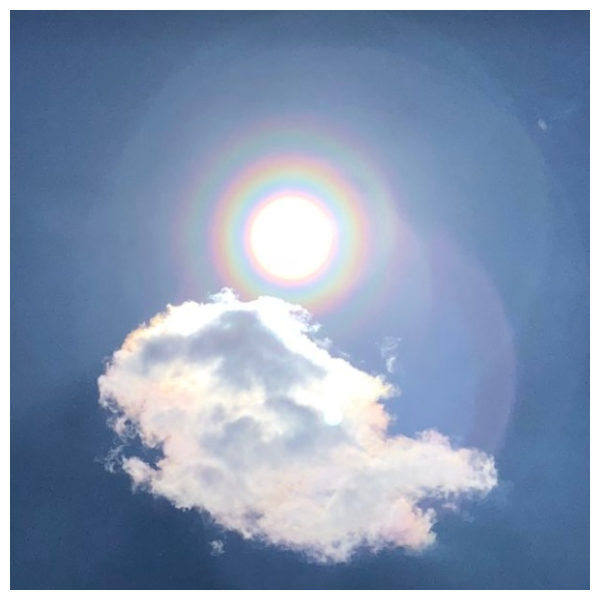 日本春天獨有的「花粉光環」！大量花粉飄散帶來的不只是花粉症，還有期間限定的美景