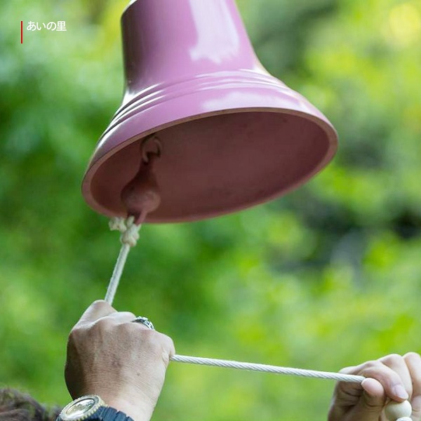 大人看的日本戀愛綜藝！《愛在山林里》5大看點推薦