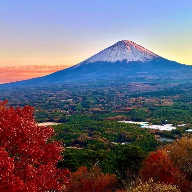 富士山 x 紅葉神組合!關東美照拍攝景點10選