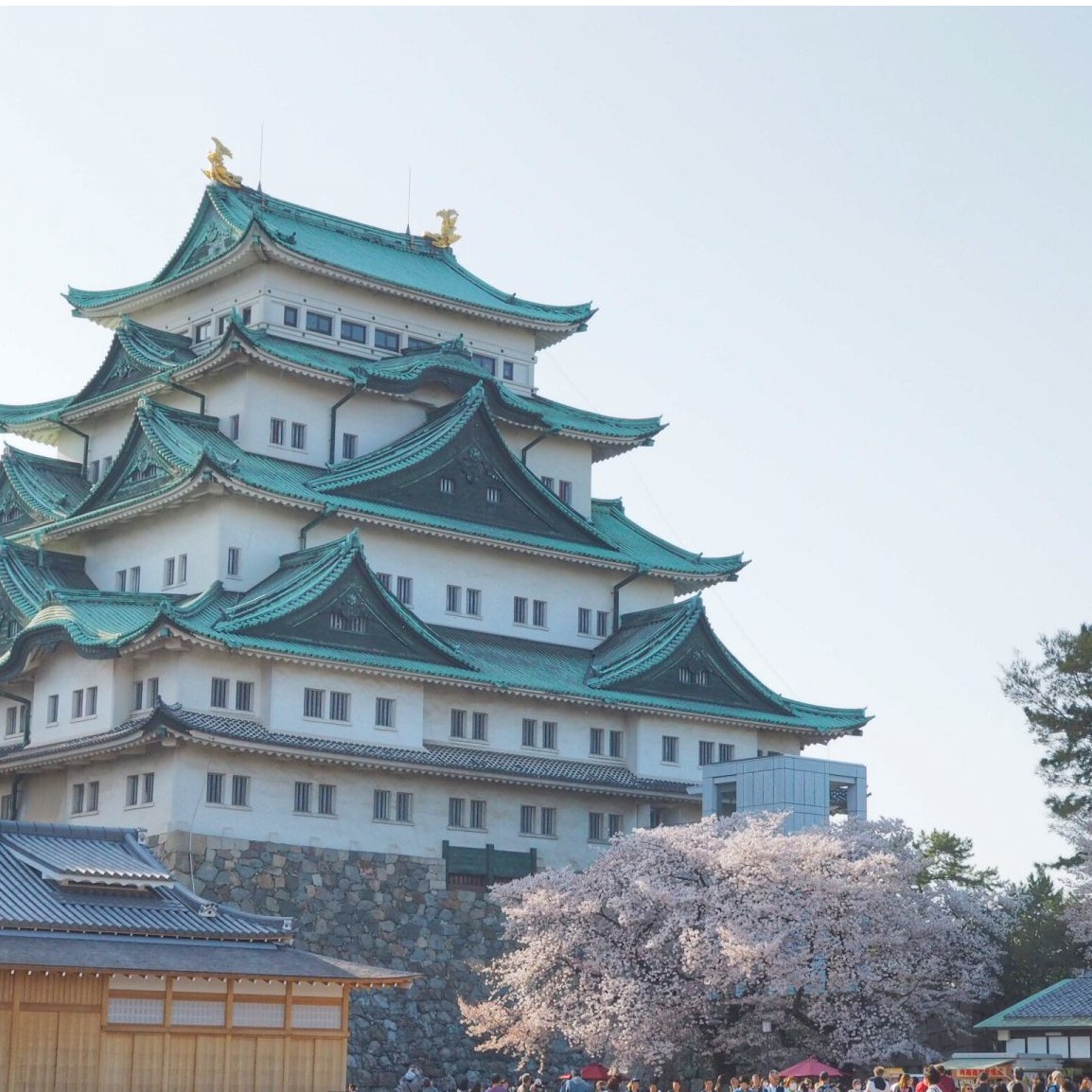 名古屋市自由行必去景點推薦!拒絕隨波逐流的優雅旅人就該來名古屋走一遭