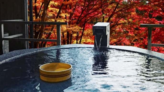 2024年關東必去超級錢湯4選！平價高CP值的高級版錢湯一定要來體驗