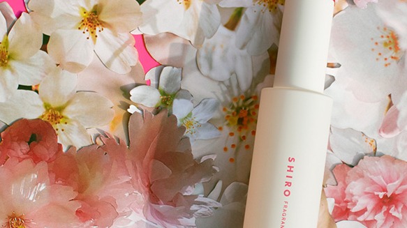 日系香氛品牌SHIRO全新推出櫻花219限定香系列，日本網友365天都想使用的柔軟精首次限量登場！