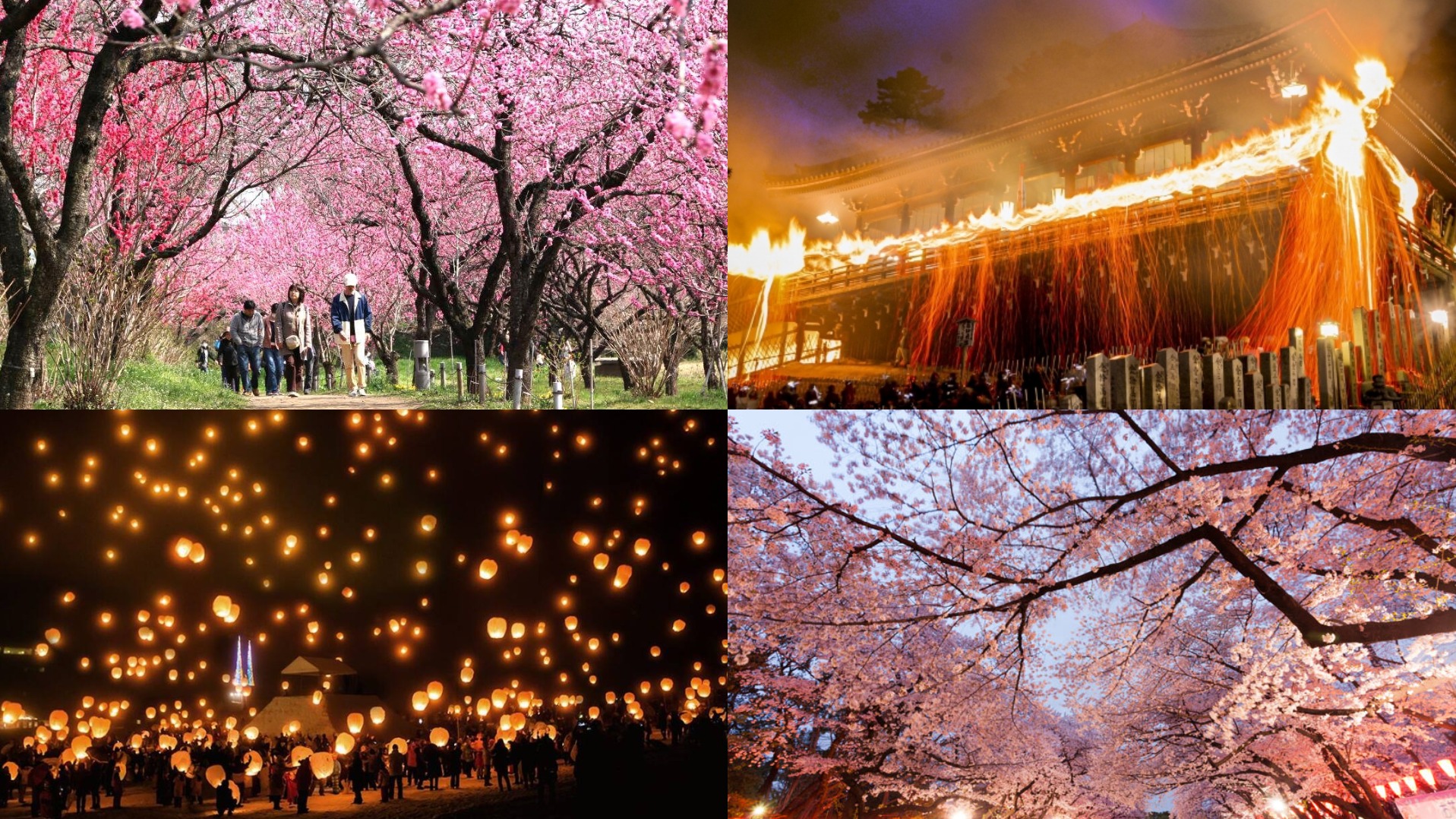 日本3月必去祭典推薦十選！從傳統祈福到百花齊放帶你一次看！