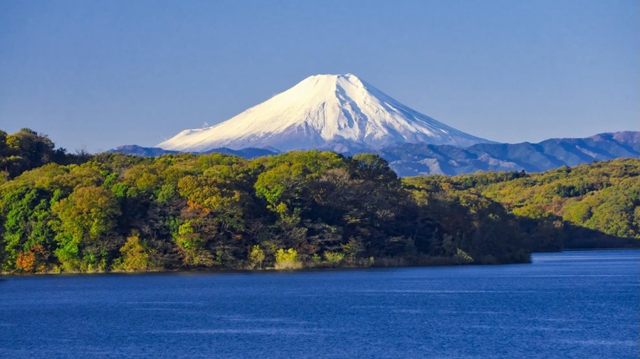 埼玉縣的觀光地 「川越市」與「所澤市」，從東京出發當日來回的觀光景點