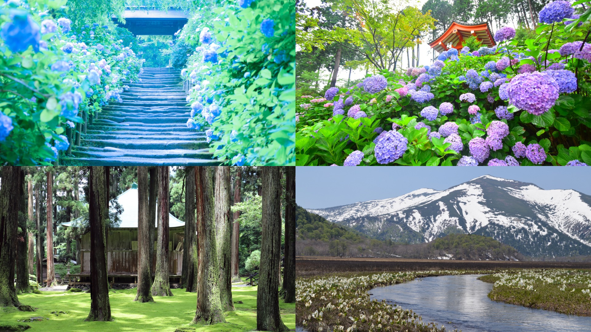 日本六月適合去哪裡？日本六月景點十選！一起走入詩情畫意雨中絕景吧