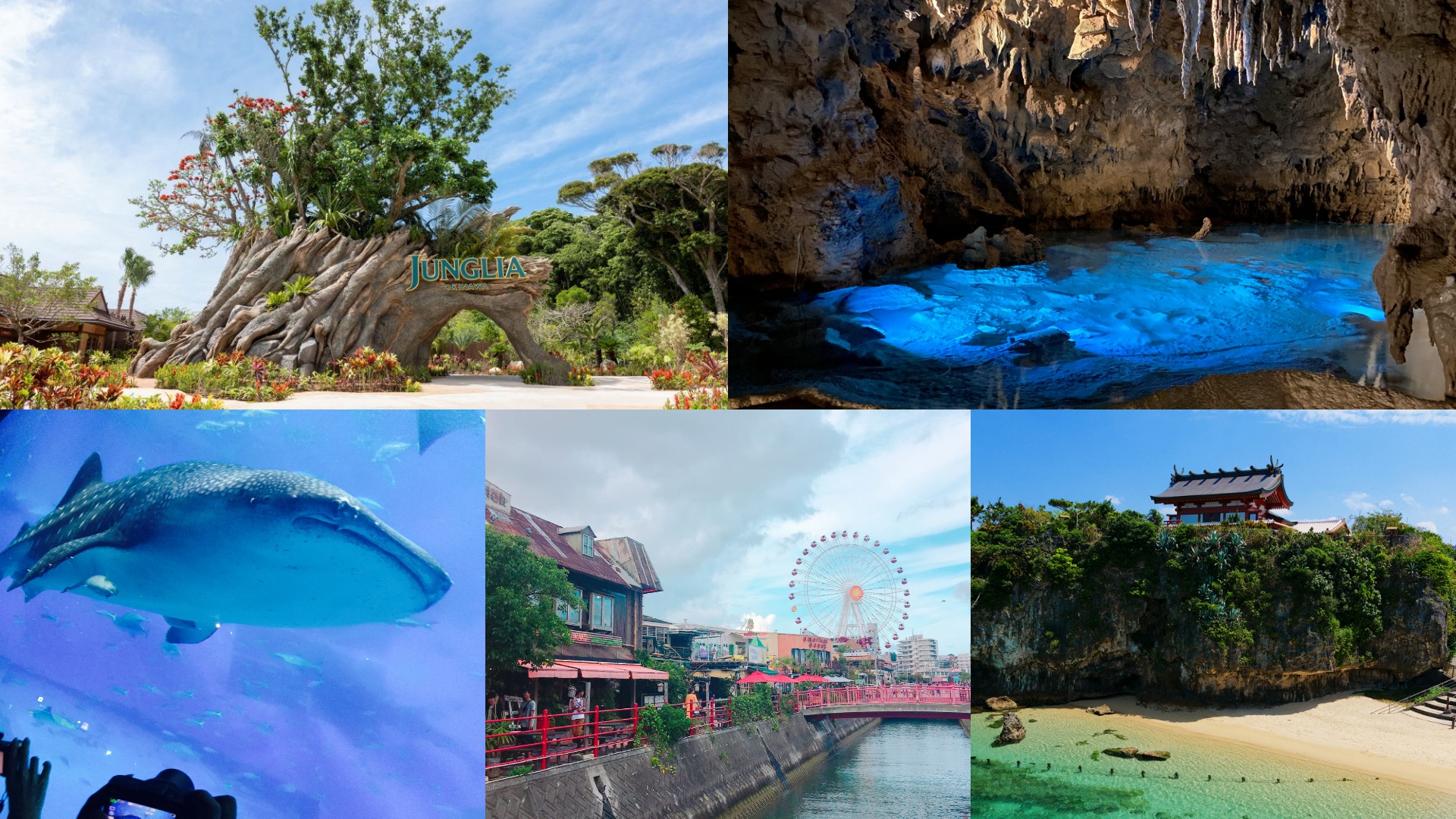 2025年沖繩必去景點11選！從經典到最新人氣樂園景點，沖繩一年比一年更好玩！