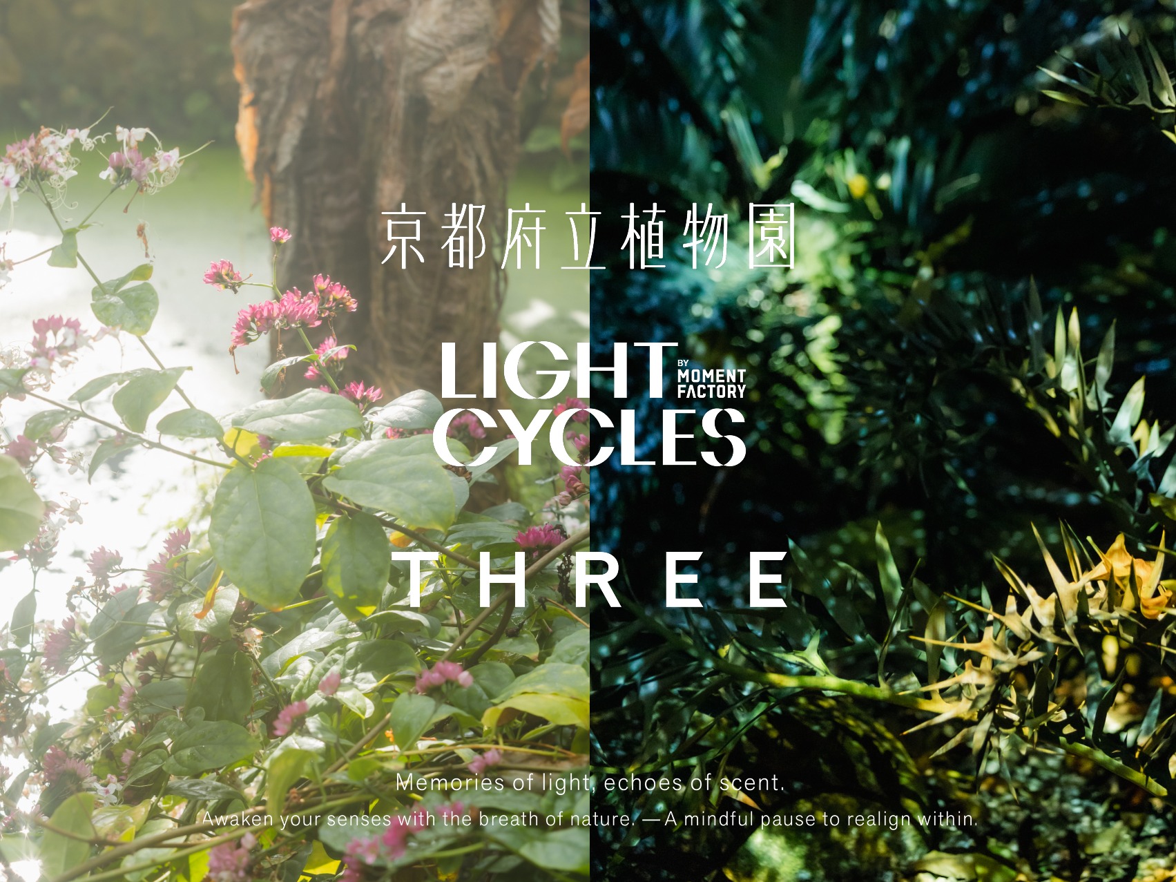 THREE × 京都府立植物園《THE ROOM OF（IN）SCENTS》打造植物與香氛沉浸式體驗