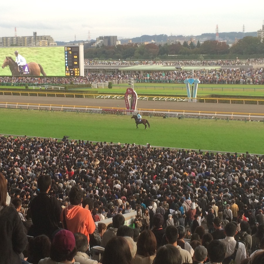 2025年關東賽馬場新手攻略！推薦馬場、購票手把手教起