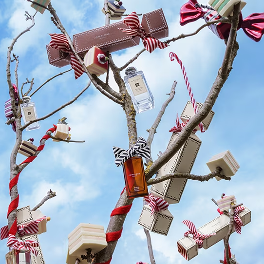 日本人氣「聖誕限定香水」5選,用全新香氣迎接最喜歡的年末季節